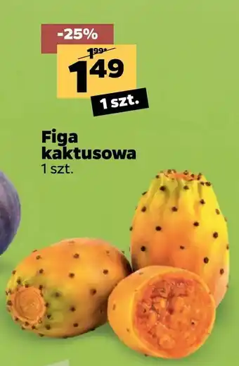 Netto Figa kaktusowa oferta