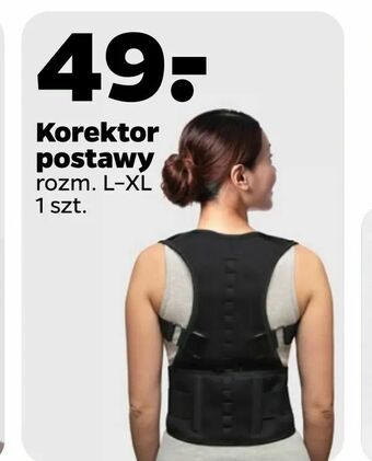 Netto Korektor postawy oferta