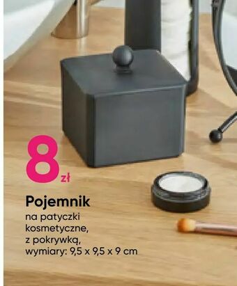 Pepco Pojemnik oferta