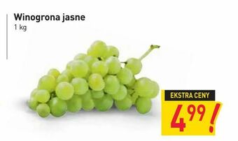 Stokrotka Winogrona jasne oferta