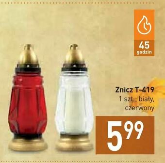 Stokrotka Znicz T-419 oferta
