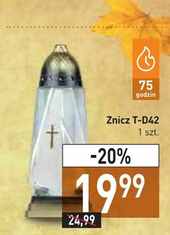 Stokrotka Znicz T-D42 oferta