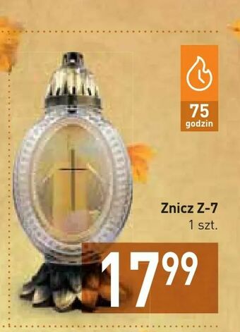 Stokrotka Znicz Z-7 oferta