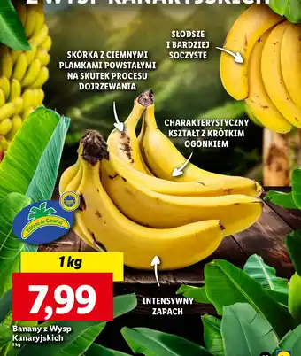 Lidl Banany z Wysp Kanaryjskich 1 kg oferta