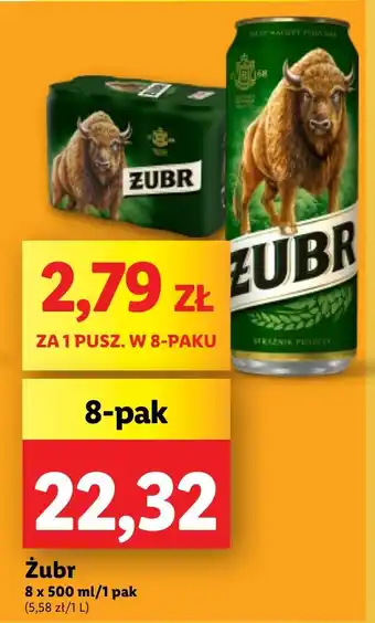 Lidl Żubr 8 x 500 ml oferta