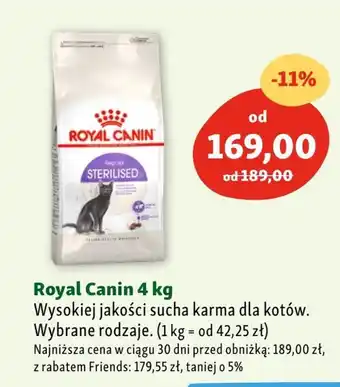 Maxi Zoo Karma dla kota royal canin oferta