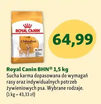 Maxi Zoo Karma dla psa royal canin oferta