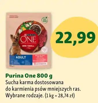 Maxi Zoo Karma dla psa oferta