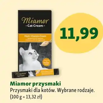 Maxi Zoo Przysmak dla kota miamor oferta