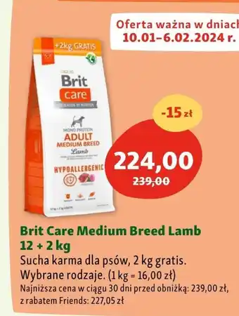Maxi Zoo Karma dla psa brit oferta