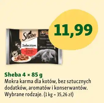 Maxi Zoo Karma dla kota sheba oferta