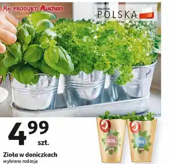 Auchan Zioła oferta