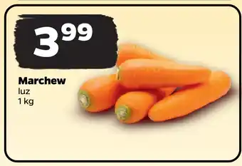 Netto Marchew oferta