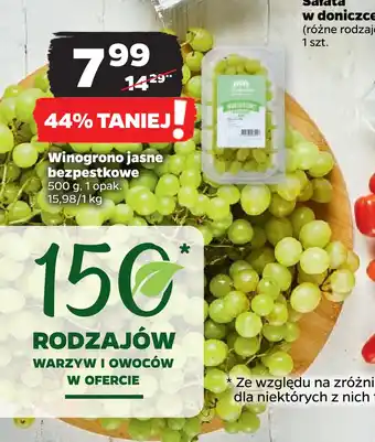 Netto Winogrono jasne bezpestkowe oferta