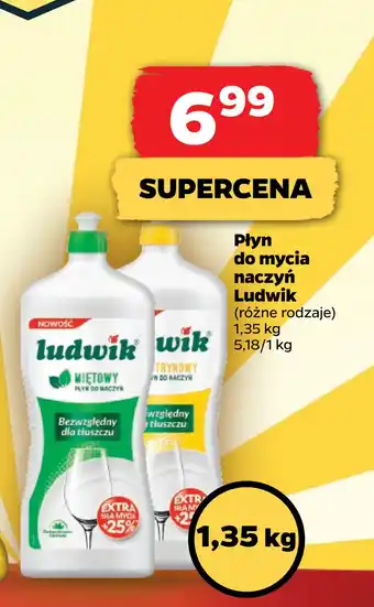 Netto Płyn do mycia naczyń ludwik oferta