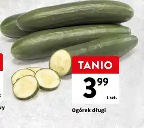 Intermarche Ogórek oferta