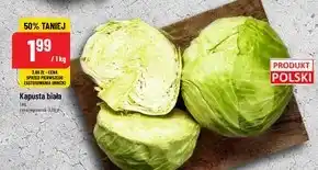 Polomarket Kapusta biała oferta