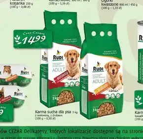 Cezar Delikatesy Karma dla psa rudi oferta