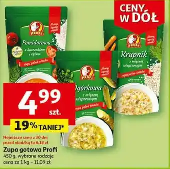 Auchan Zupa gotowa Profi 450 g oferta