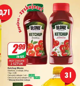 Dino Ketchup błonie oferta