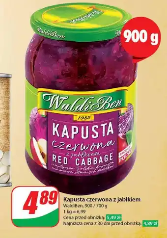 Dino Kapusta czerwona waldiben oferta