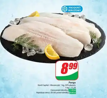 Dino Panga nord capital oferta