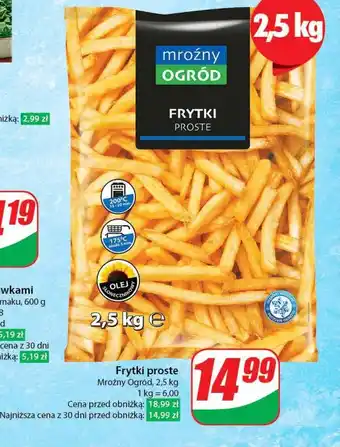 Dino Frytki mroźny ogród oferta