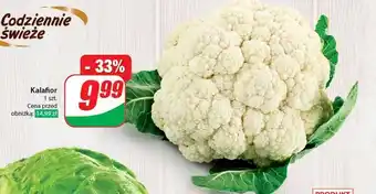 Dino Kalafior oferta