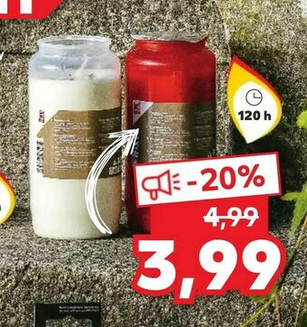 Kaufland Wkład olejowy oferta