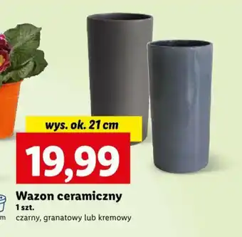 Lidl Wazon ceramiczny 1 szt. oferta