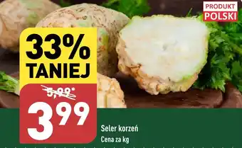 ALDI Seler korzeń 1 kg oferta