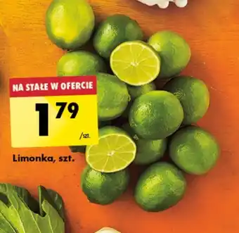 Biedronka Limonka oferta