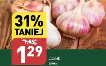 ALDI Czosnek Sztuka oferta