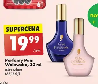 Biedronka Perfumy pani walewska oferta
