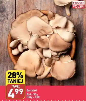 Boczniaki Opak. 250 g