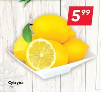 Lewiatan Cytryna 1 kg oferta