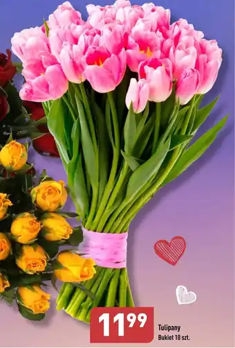 ALDI Tulipany Bukiet 10 szt. oferta