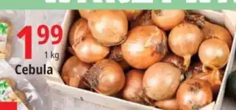 E.Leclerc Cebula 1 kg oferta