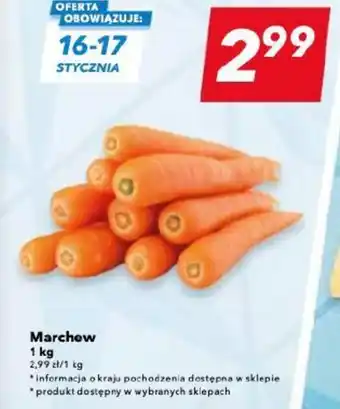 Lewiatan Marchew 1 kg oferta