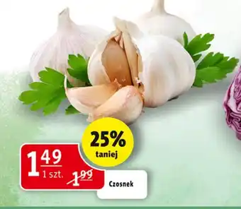 Prim Market Czosnek oferta