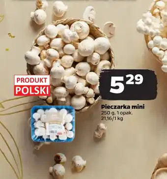 Netto Pieczarka mini oferta
