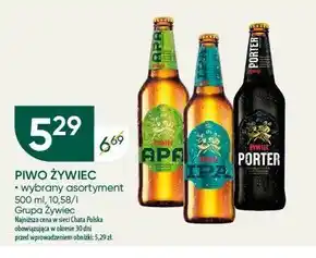 Chata Polska Żywiec porter piwo ciemne 500 ml oferta