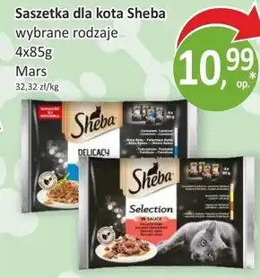 Passa Saszetka dla kota sheba oferta