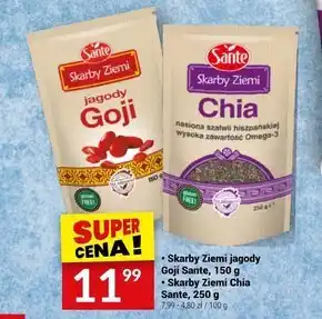 Twój Market Sante skarby ziemi jagody goji 150 g oferta