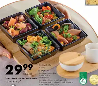 Biedronka Naczynia do serwowania z porcelany oferta