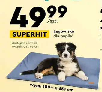 Biedronka Legowisko dla pupila oferta