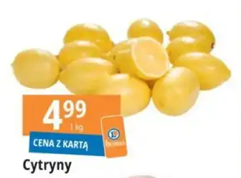 E.Leclerc Cytryny 1 kg oferta
