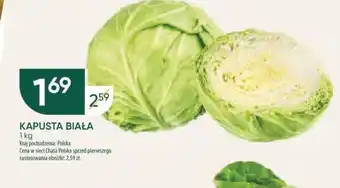 KAPUSTA BIAŁA 1kg