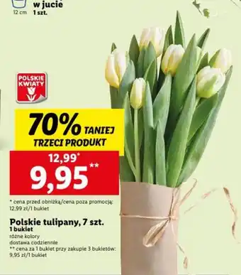 Lidl Polskie tulipany, 7 szt. oferta