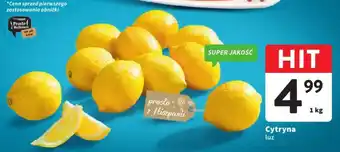 Intermarche Cytryna 1kg oferta